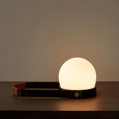 Carrie Portable Indoor/Outdoor LED Lamp