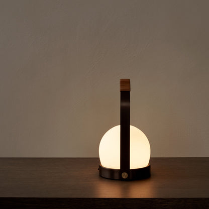 Carrie Portable Indoor/Outdoor LED Lamp