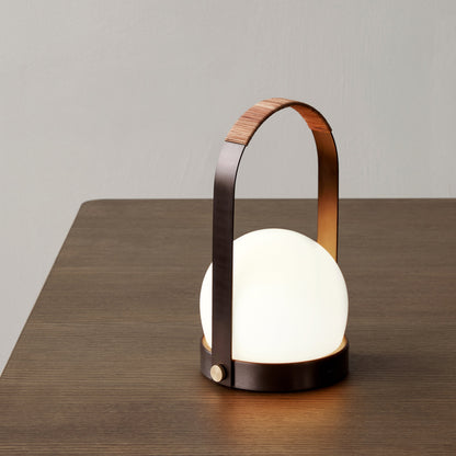 Carrie Portable Indoor/Outdoor LED Lamp
